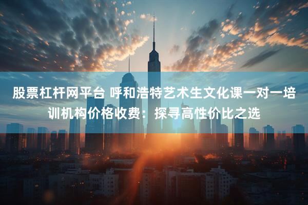 股票杠杆网平台 呼和浩特艺术生文化课一对一培训机构价格收费：探寻高性价比之选