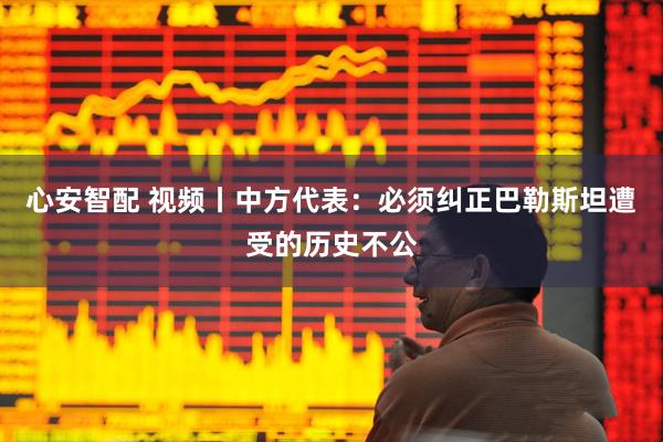 心安智配 视频丨中方代表：必须纠正巴勒斯坦遭受的历史不公