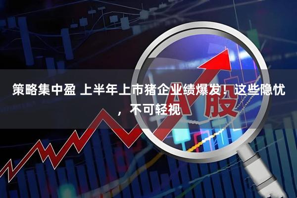 策略集中盈 上半年上市猪企业绩爆发！这些隐忧，不可轻视